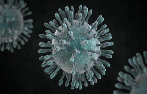 Germany authorises its first clinical test of vaccine for coronavirus