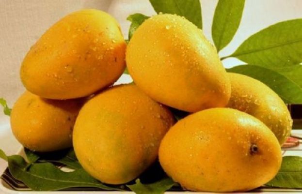 Mangoes