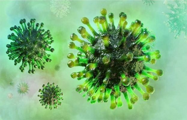 Mutation in new coronavirus increases chance of infection