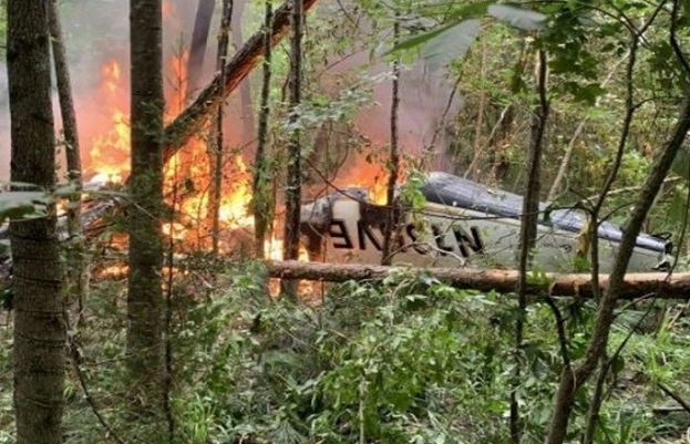 امریکی ریاست جارجیا میں ایک چھوٹا طیارہ جنگل میں گر کر تباہ ہو گیا