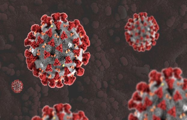Coronavirus kills 12 more people, affects 624 in 24 hours