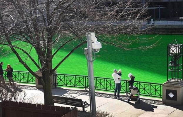 امریکا میں پانی کا رنگ کیسے سبز ہوگیا؟ شہری حیران