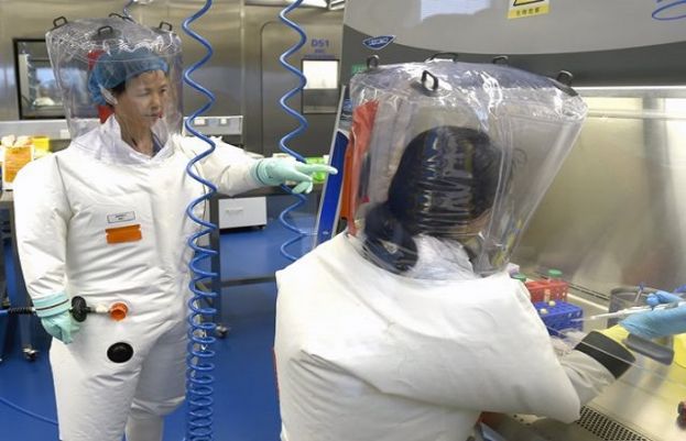 کورونا وائرس