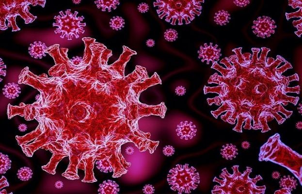 کورونا وائرس