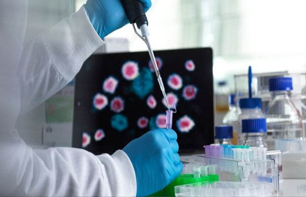 کورونا وائرس