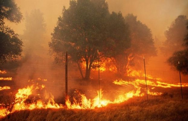 امریکا کے ریاستوں میں گرمی، جنگلات میں آگ بھڑک اٹھی