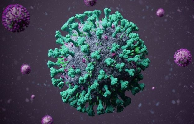 کووڈ 19