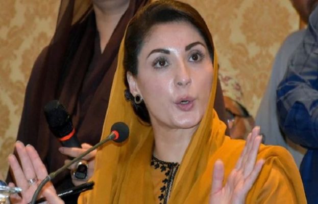 مسلم لیگ ن کی رہنما مریم نواز