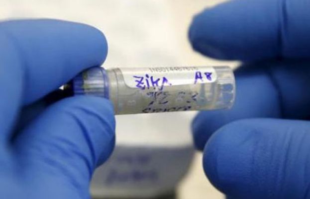 کورونا وائرس کے بعد بھارت میں زکا وائرس کے 89 کیسز رپورٹ