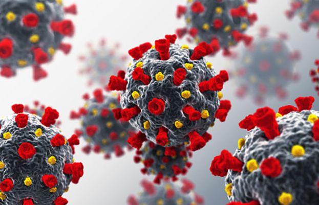 ماہرین نے خطرے کی گھنٹی بجا دی