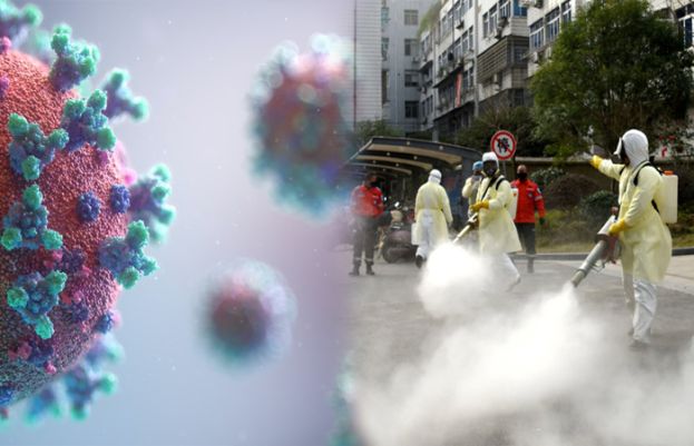 کورونا وائرس