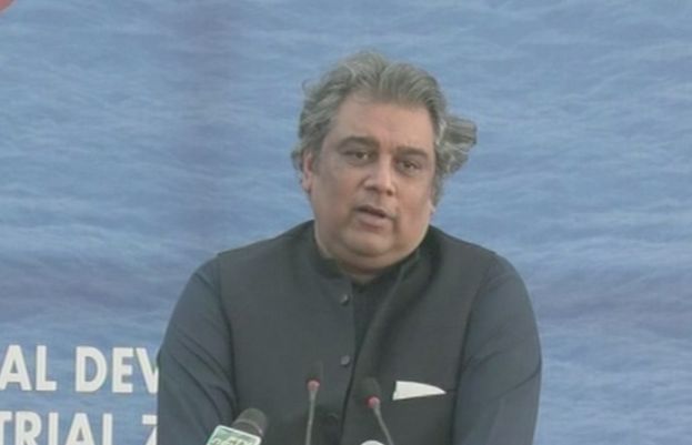 پاکستان تحریک انصاف سندھ کے صدر اور وفاقی وزیر بحری امور علی زیدی