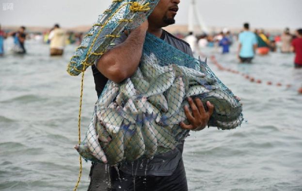 جزیرہ فرسان میں مچھلیاں پکڑنے کا تہوار