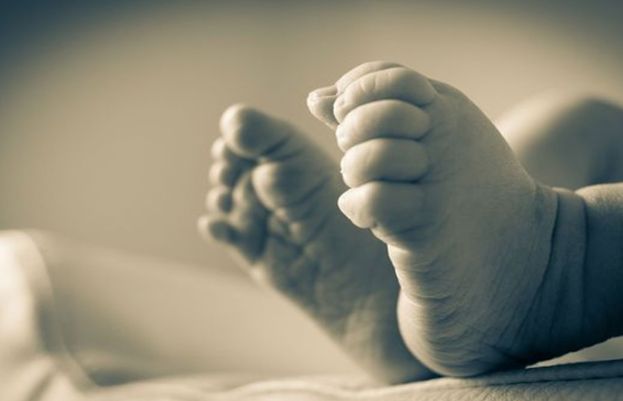 Eleven newborn babies