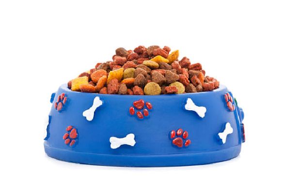 Govt removes import ban on cat and dog food