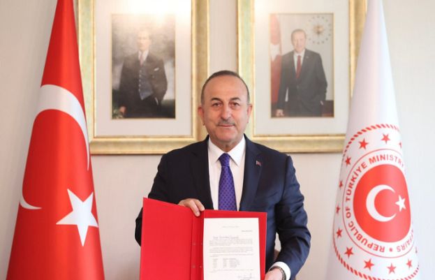 Turkish Foreign Minister Mevlut Cavasoglu