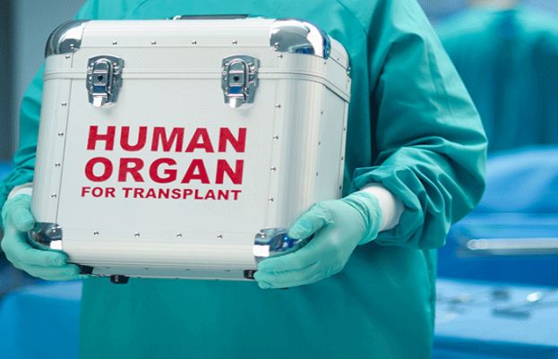 انسانی جگر مشین میں درست کرکے مریض میں منتقل کردیا گیا