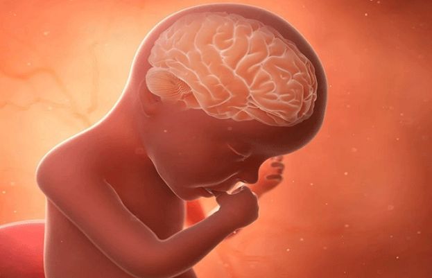  دماغی نشوونما متاثر