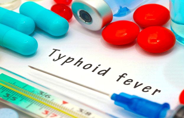 ٹائفائیڈ بیکٹیریا 