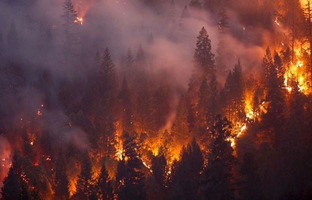  کیلیفورنیا کے جنگلات میں لگی آگ پھیلنے سے کئی ایکڑ اراضی جل کر خاکستر ہو گئی