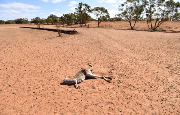 Australia&rsquo;s environment is poor, deteriorating