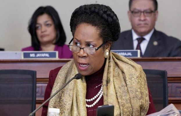 امریکی رکن کانگریس  شیلا جیکسن  کی  پاکستان کےسیلاب زردگان  کیلئے مدد کی اپیل