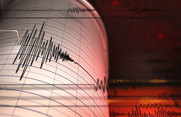 Series of earthquakes in Indonesia’s Papua jolt coastal region