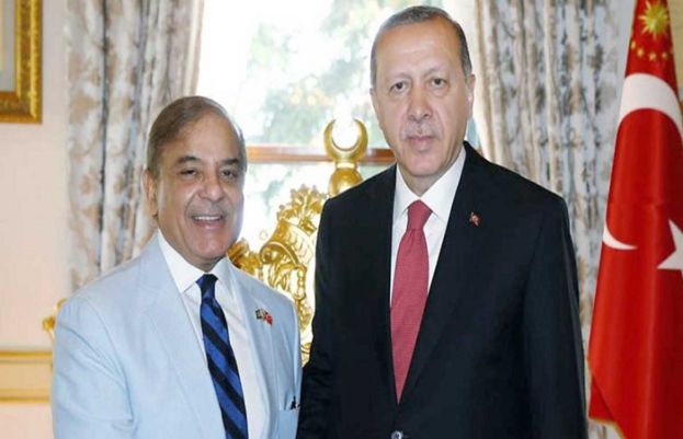 روس سے گیس کی فراہمی کے پراجیکٹ پر کام کرنے پر ترکیہ اور پاکستان کا اتفاق