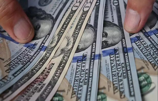 سابق وفاقی وزیر خزانہ حفیظ پاشا