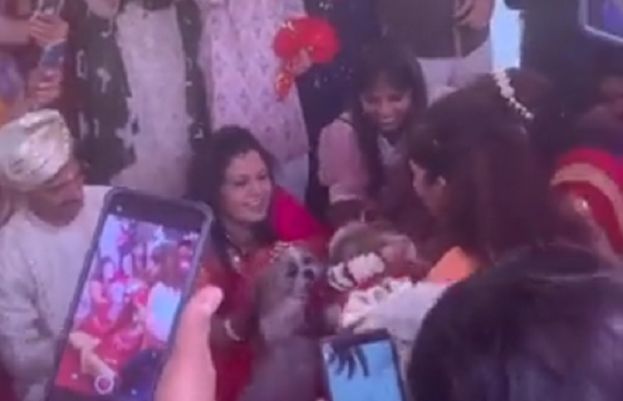 کتے کی شادی وہ بھی دھوم دھام سے