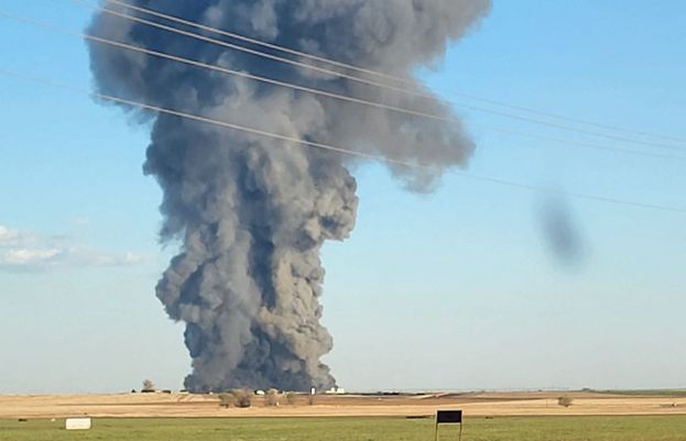 More than 18,000 cows die in Texas dairy farm explosion