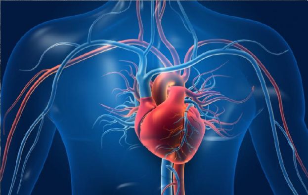 New study reveals that flu diagnosis could significantly raise heart attack risk