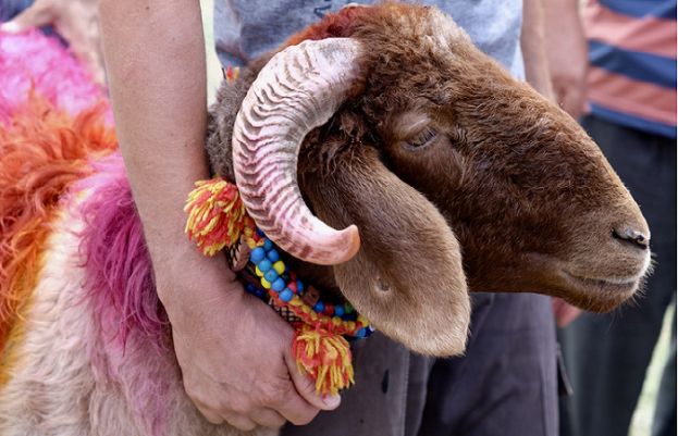 عید الاضحیٰ کب ہوگی؟ ماہر فلکیات کی پیشگوئی