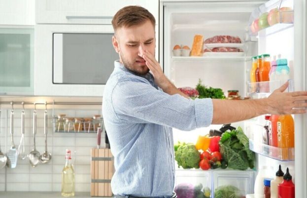 یہ ٹوٹکے آزمائیے اور فریج سے گوشت اور لہسن ادرک کی بو سے نجات پائیے