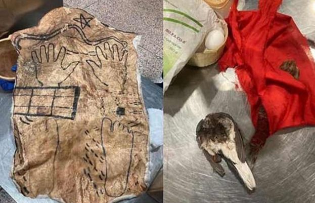 دبئی ایئرپورٹ پر مسافر کے بیگ سے کالے جادو کا سامان برآمدپر مسافر کو حراست میں لے لیا۔