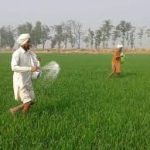 An expansive green agricultural field in Pakistan under a bright, partly cloudy sky, showing modern eco-friendly farming water systems, high detail, vibrant natural colors, professional photography.